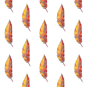 un motif de plumes