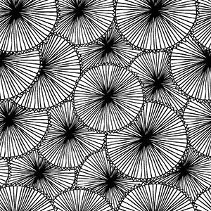 un motif nnoir et blanc à la plume